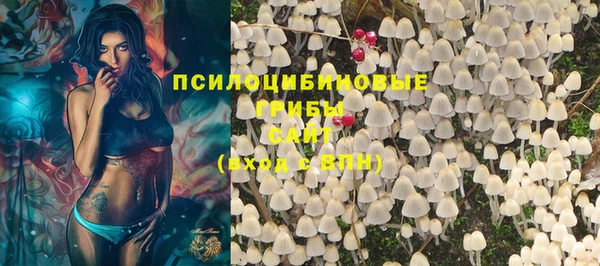 ГАЛЛЮЦИНОГЕННЫЕ ГРИБЫ Новодвинск