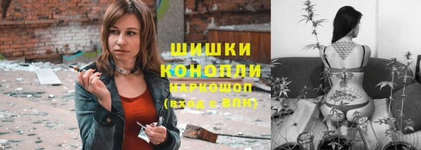 гидропоника Болохово